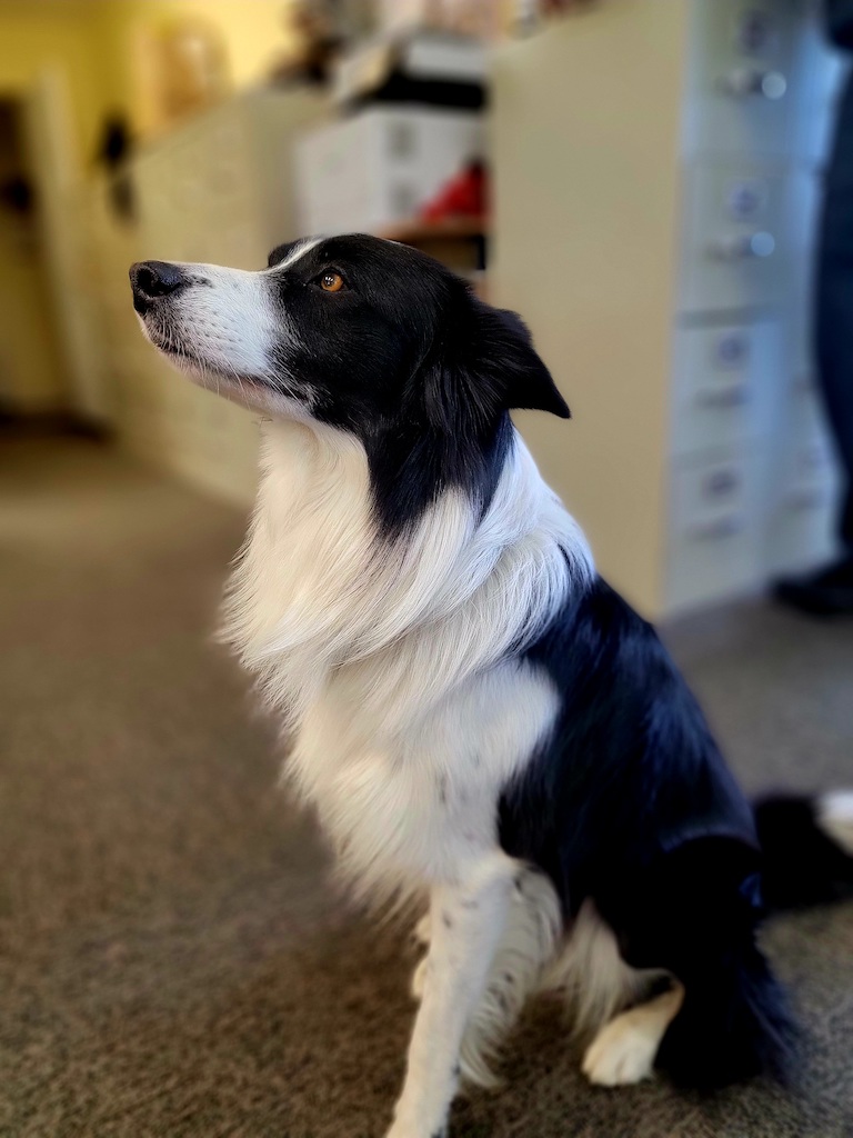 Charles "Chuck" Bark Lee